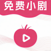 tuntun剧去广告纯净版